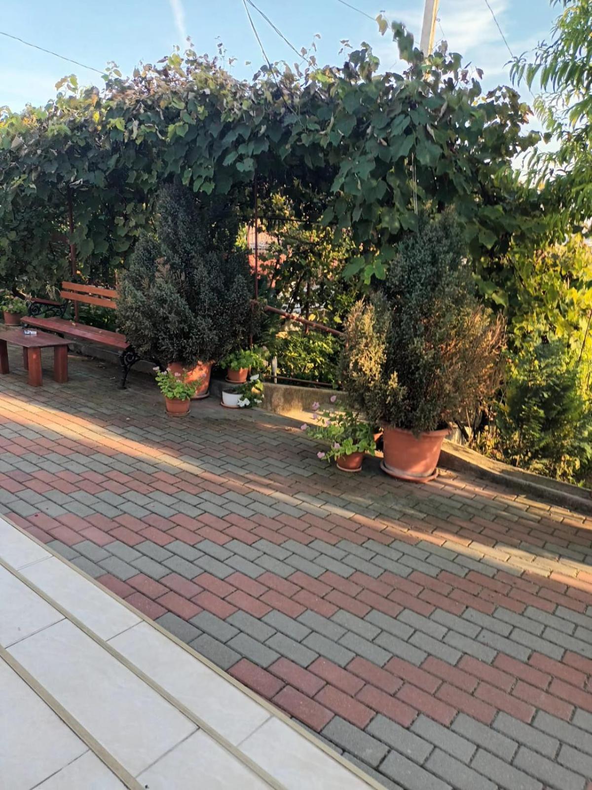 فيلا Casa Matei توردا المظهر الخارجي الصورة