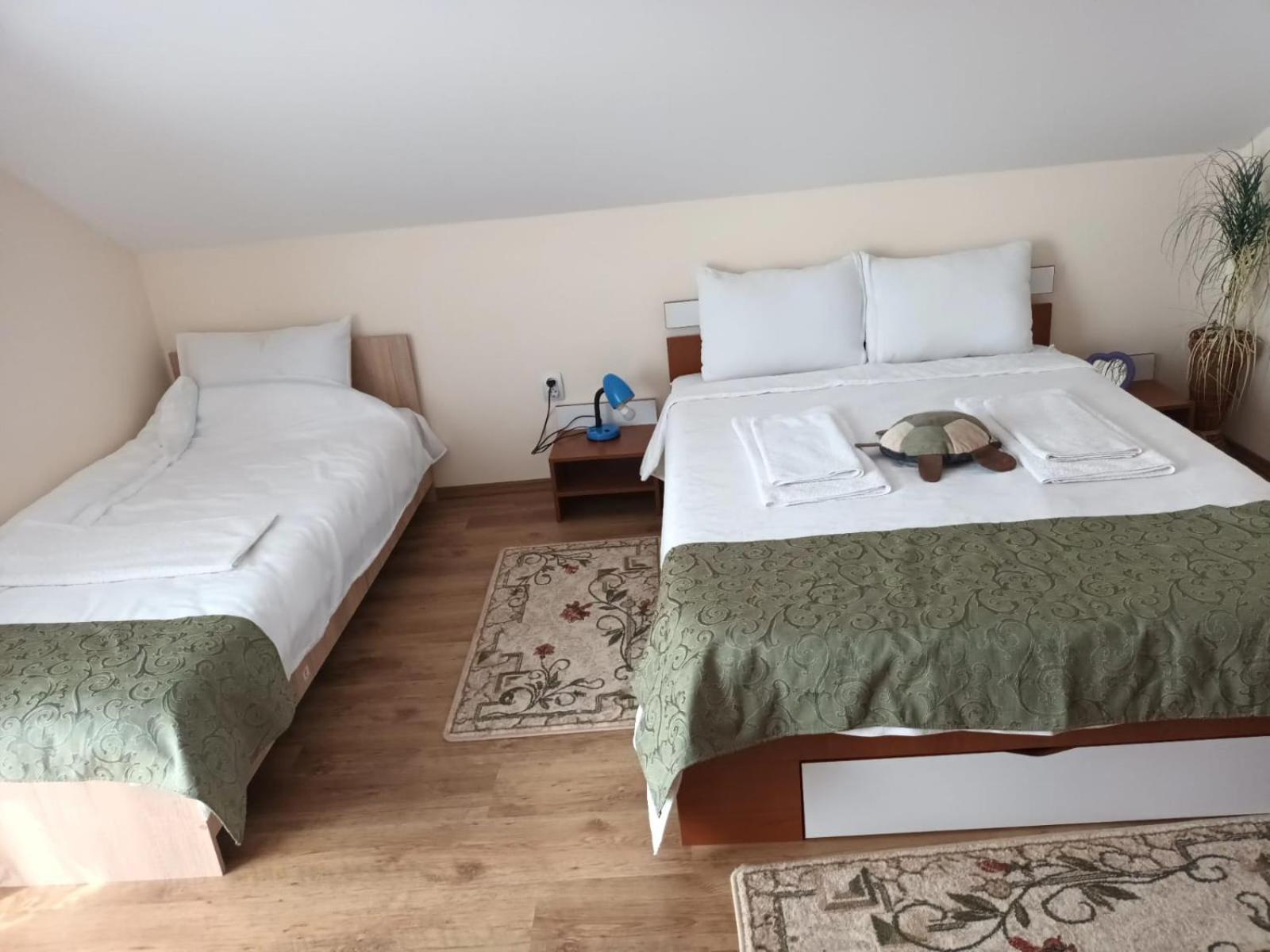 فيلا Casa Matei توردا المظهر الخارجي الصورة